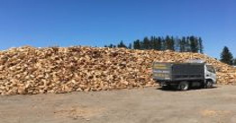 Needmore Firewood N Tree Services Limited 